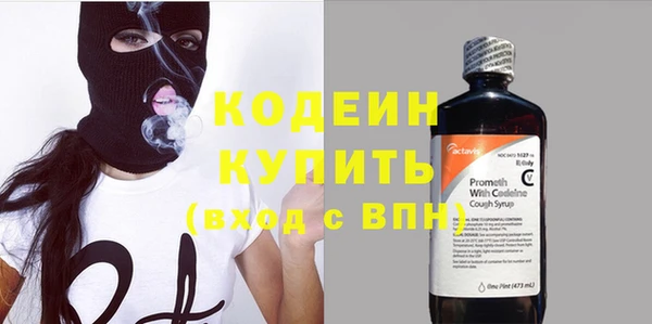 сатива Осинники