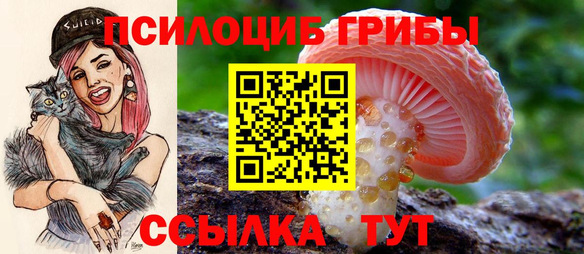Волоколамск  закладки  Вход с VPN  Галлюциногенные грибы Psilocybine cubensis 