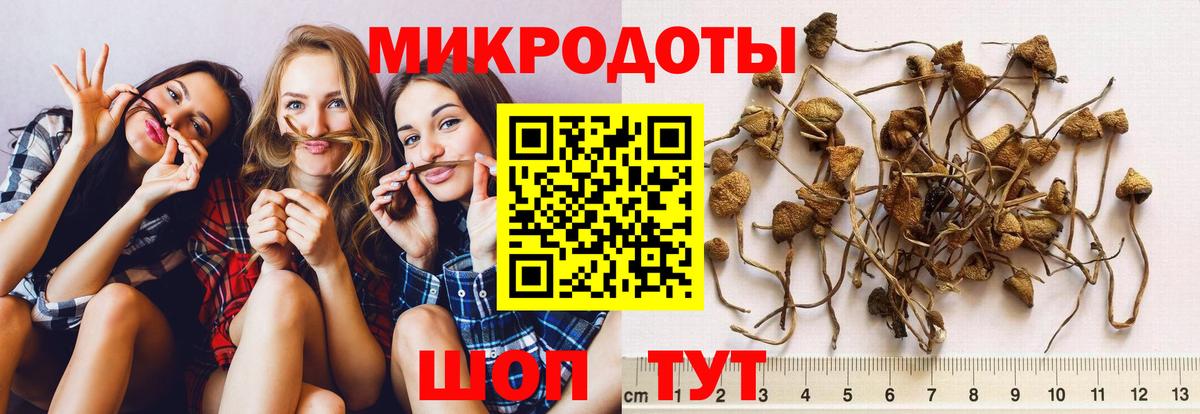 Галлюциногенные грибы Cubensis Волоколамск